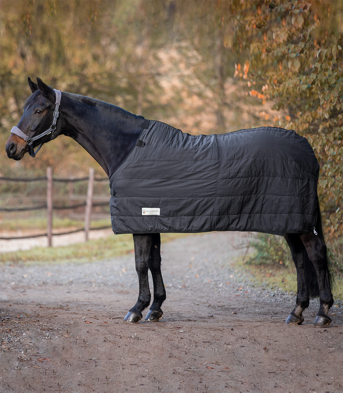 WALDHAUSEN Deka spodní "Clip in" Economic Waldhausen, 100 g, černá Velikost: 145 cm