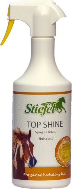 STIEFEL Top shine STIEFEL, 2,5l
