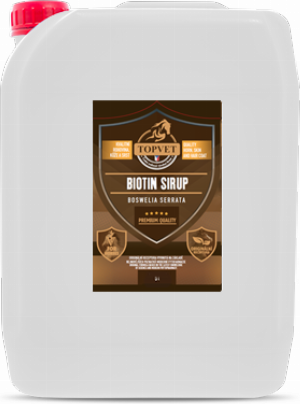 Green idea Sirup Biotin s Boswelia Serrata GREEN IDEA, 5 l