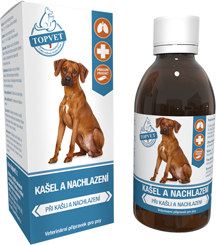 Green idea Sirup pro psy GREEN IDEA, na kašel a nachlazení, 200 ml