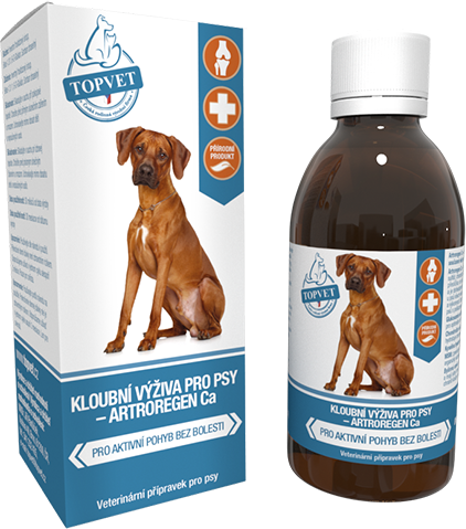 Green idea Sirup kloubní výživa pro psy GREEN IDEA, 200 ml