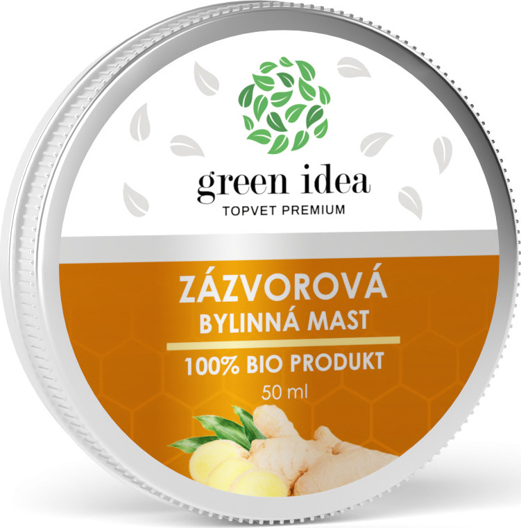 Green idea Mast zázvorová GREEN IDEA, 50 ml