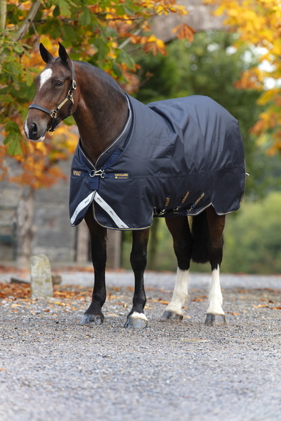 Deka výběhová Amigo Bravo 12 XL, 250 g, navy/gold Délka zad: 165 cm