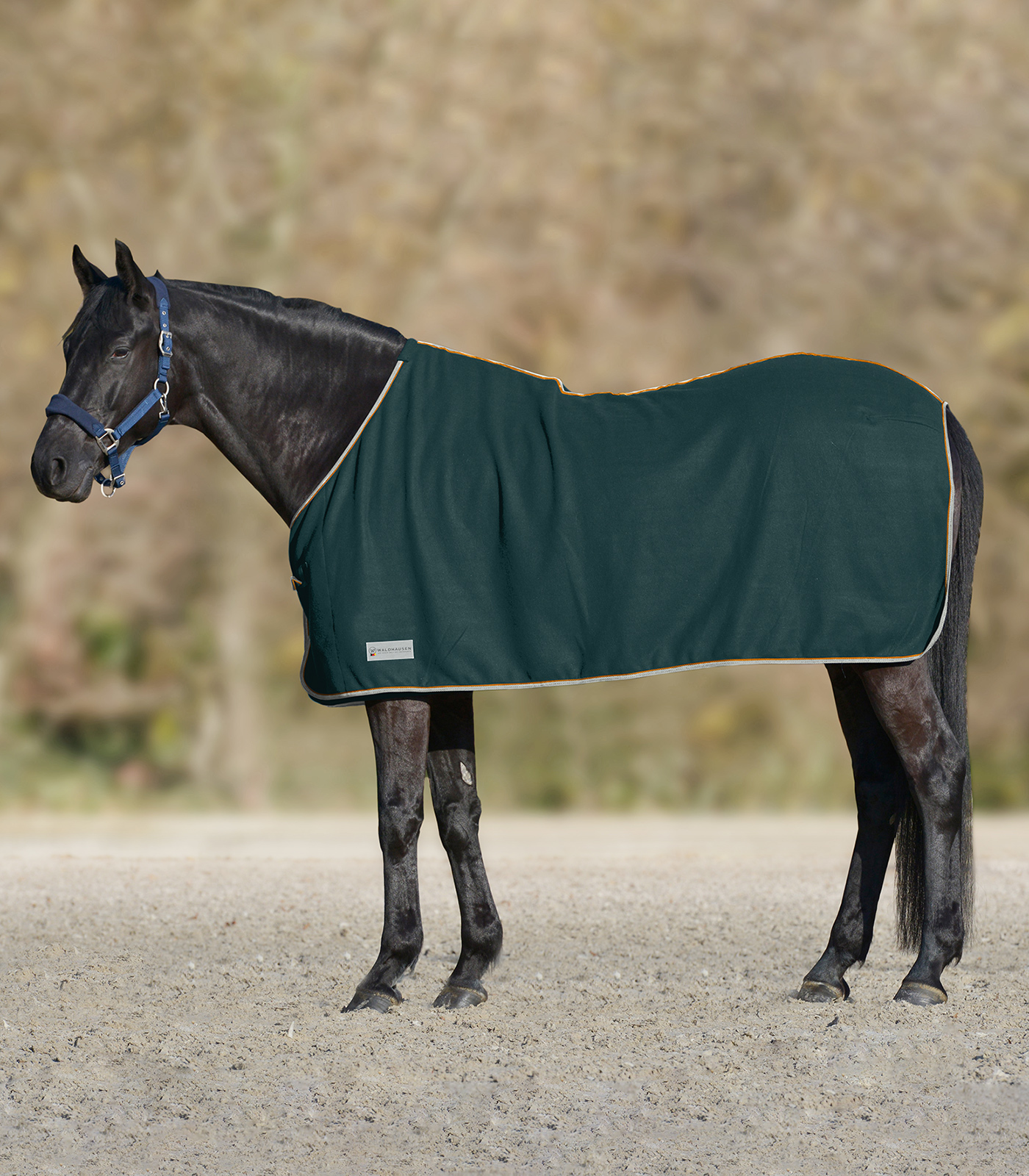 WALDHAUSEN Deka odpocovací Economic Waldhausen, fir green/stone Délka zad: 135 cm