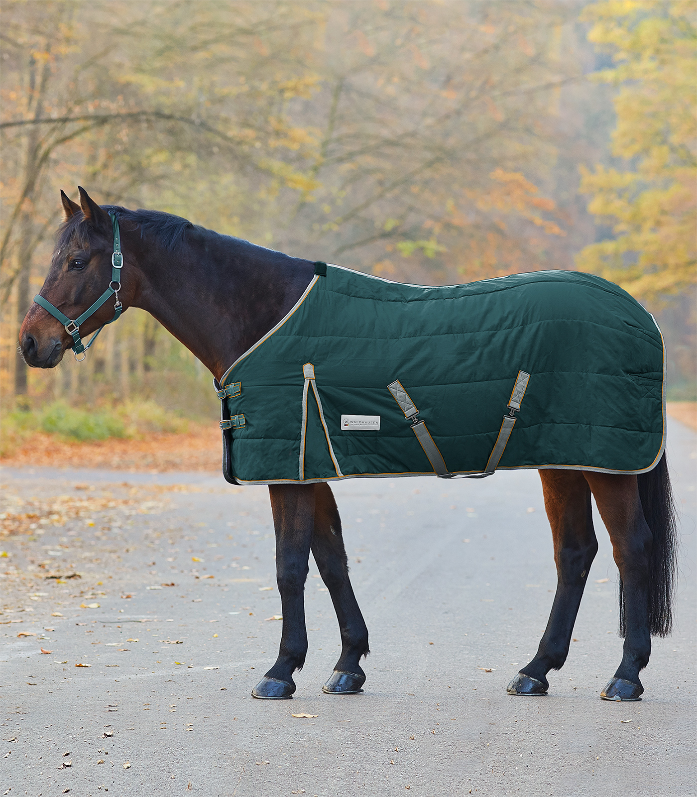 WALDHAUSEN Deka stájová Economic Waldhausen, 300 g, fir green/stone Délka zad: 125 cm