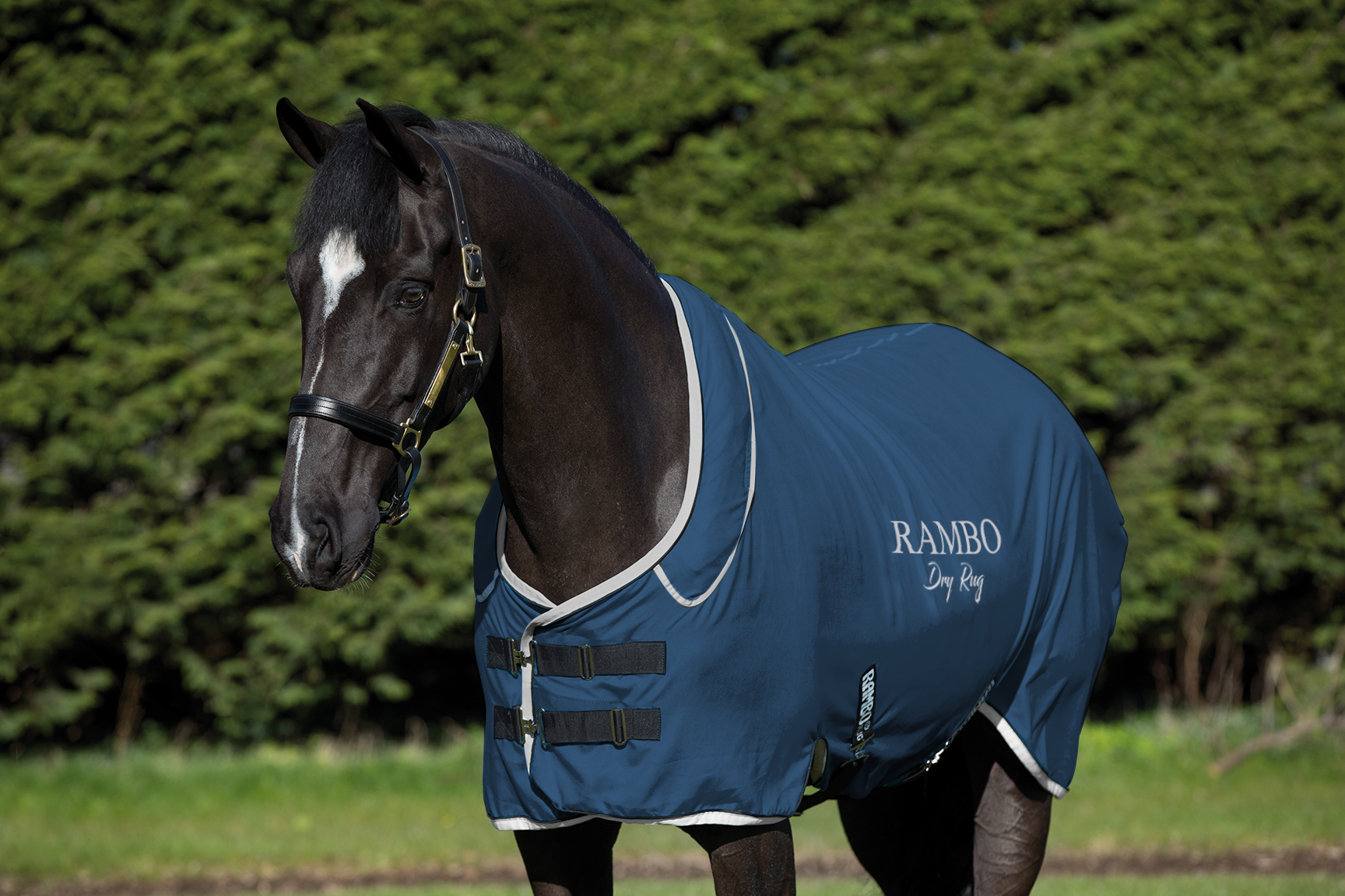 Deka odpocovací Rambo Supreme, navy/silver Délka zad: L