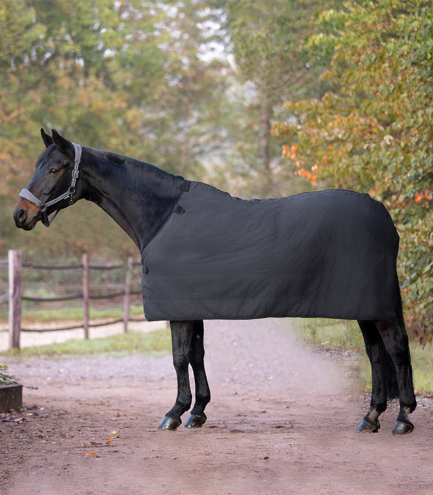 WALDHAUSEN Deka spodní "Clip in" fleece Economic Waldhausen, 0 g, černá Velikost: 165 cm