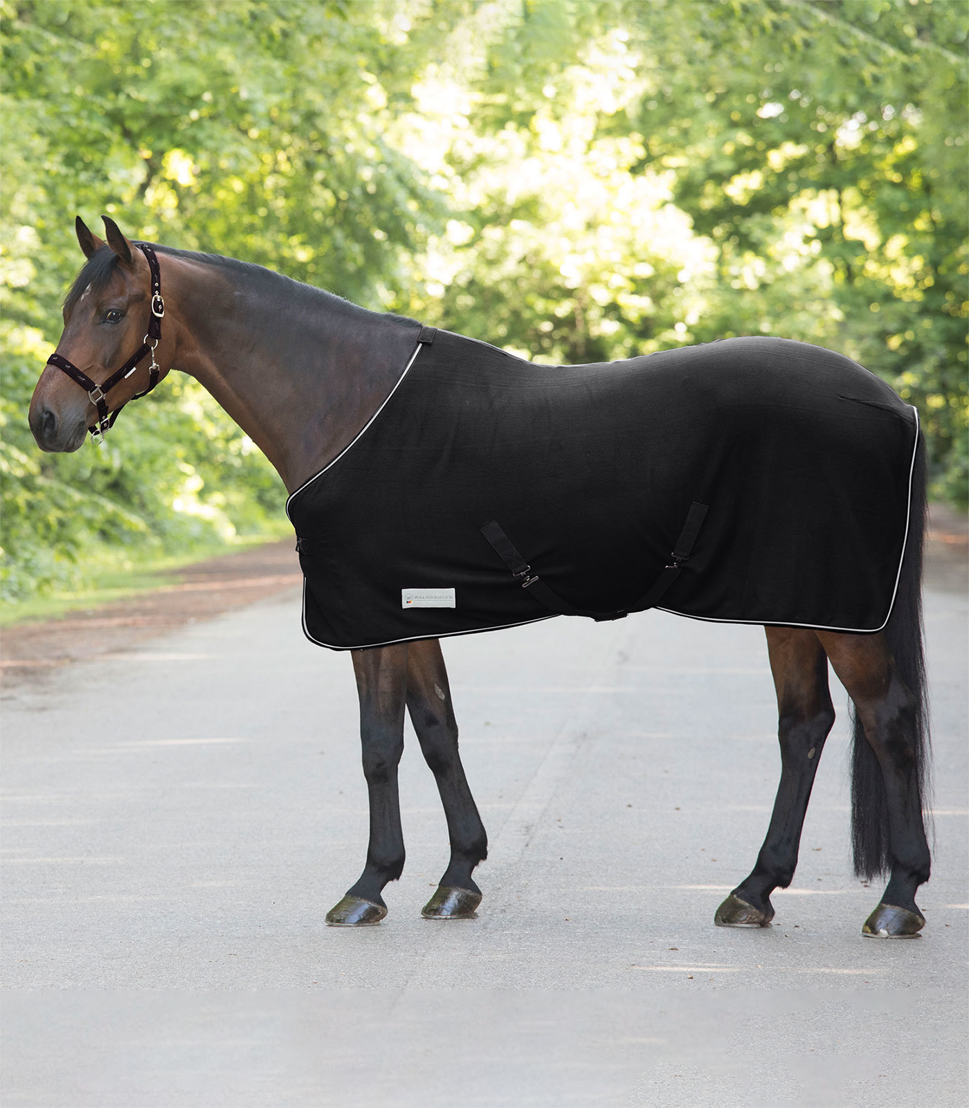 WALDHAUSEN Deka odpocovací Economic Waldhausen, černá Délka zad: 125 cm