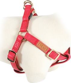 Zolux Postroj pro psy Mayfair Zolux, 25 mm, red
