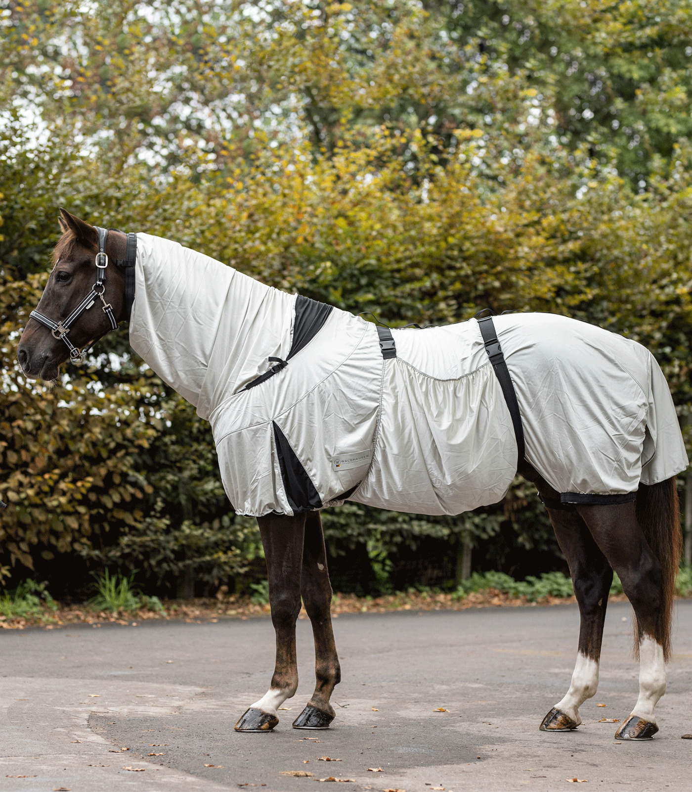 WALDHAUSEN Deka proti hmyzu ECZEMA Waldhausen, s krkem, silver grey Délka zad: 145 cm
