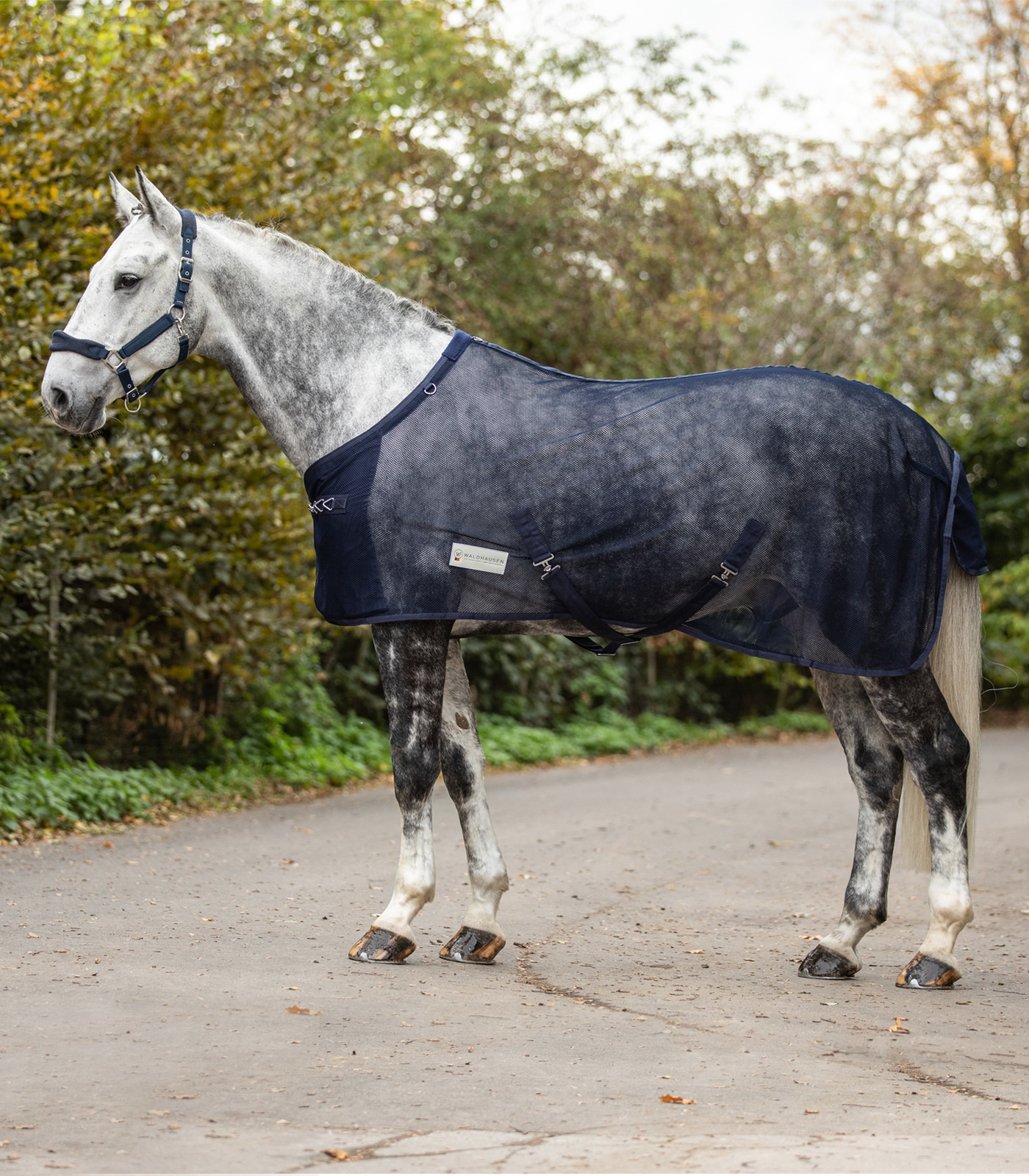WALDHAUSEN Deka proti hmyzu Comfort Waldhausen, night blue Délka zad: 145 cm