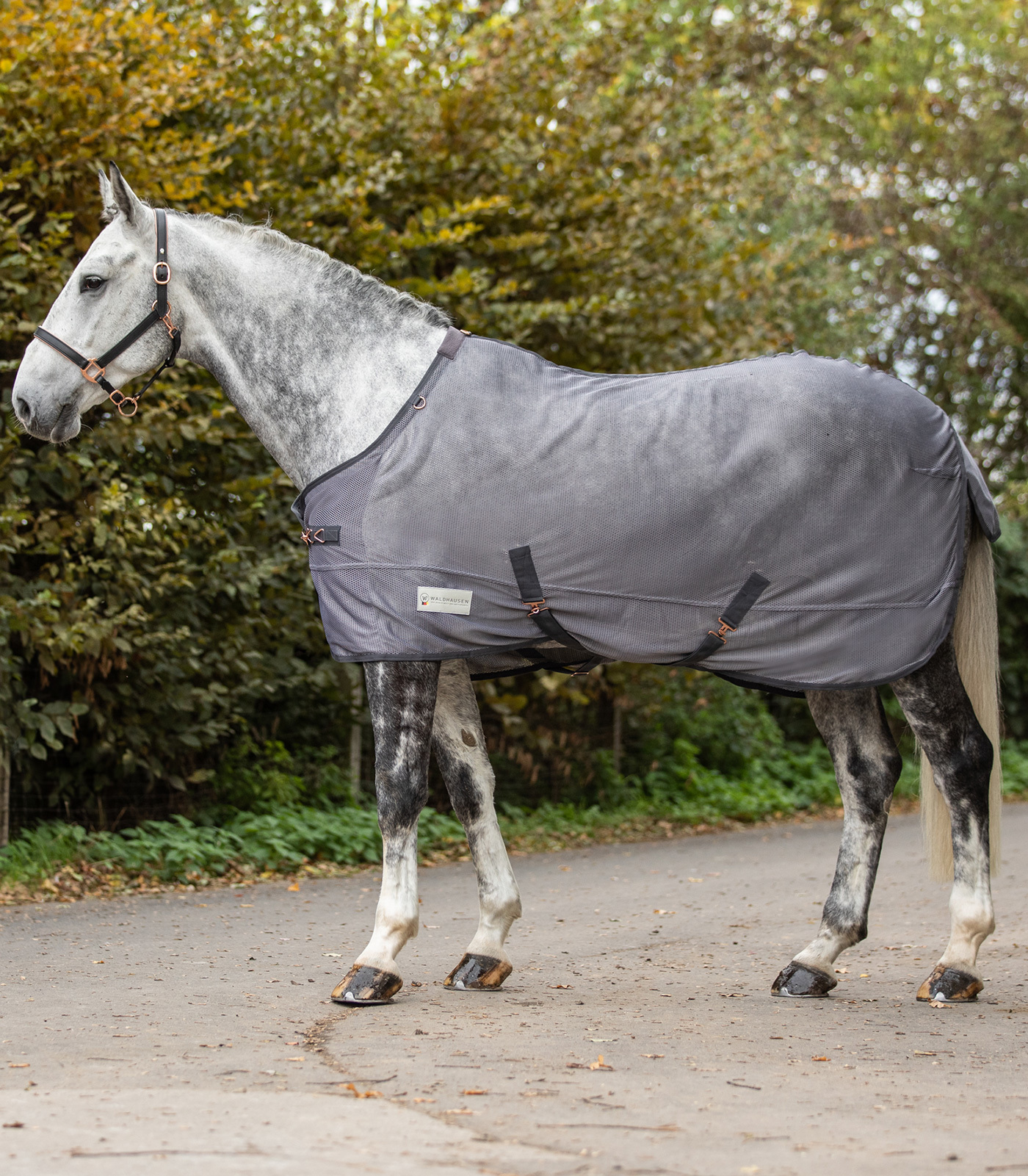 WALDHAUSEN Deka proti hmyzu Comfort Waldhausen, grey Délka zad: 125 cm