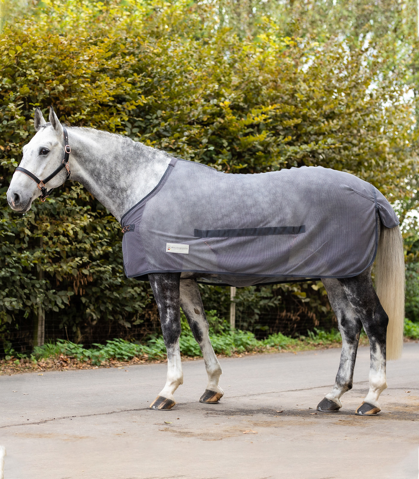 WALDHAUSEN Deka proti hmyzu Waldhausen, s ochranou břicha, grey Délka zad: 125 cm