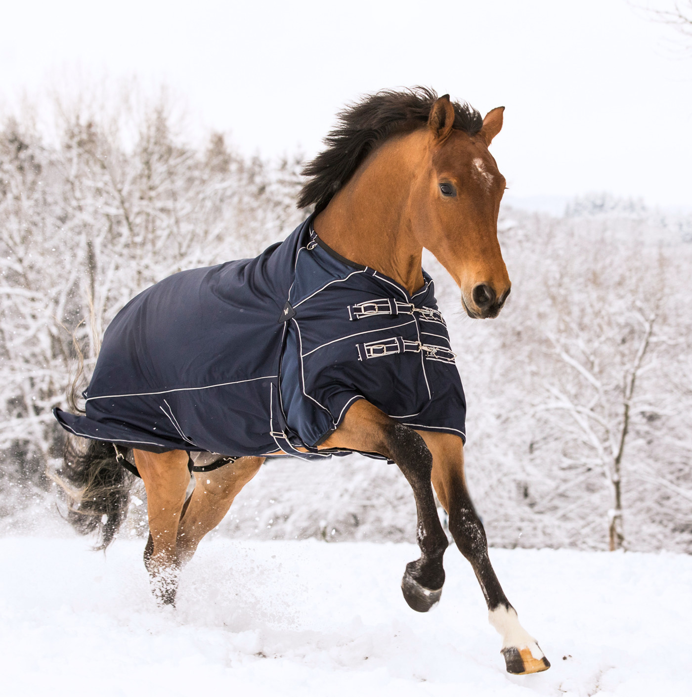 WALDHAUSEN Deka výběhová Comfort Waldhausen, 50 g, night blue Délka zad: 145 cm