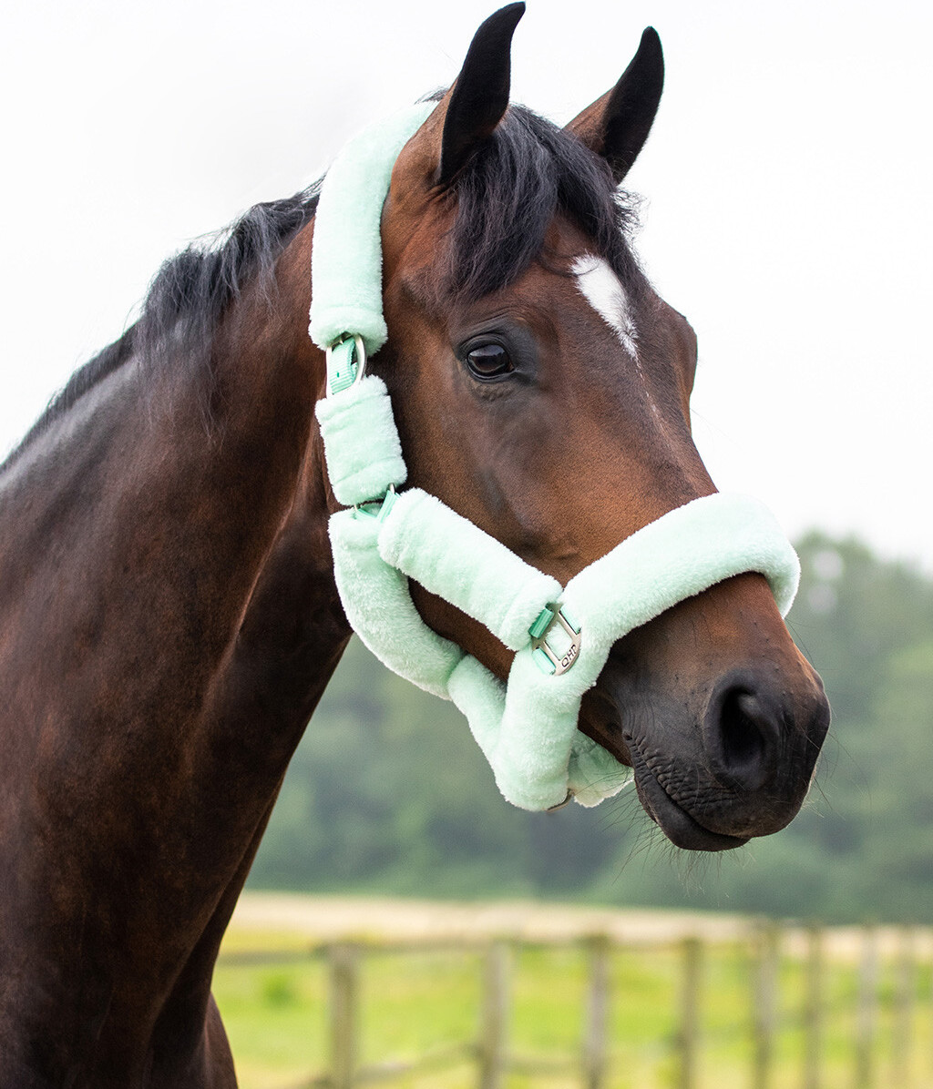 QHP Ohlávka Alaska QHP, mint green Velikost: PONY