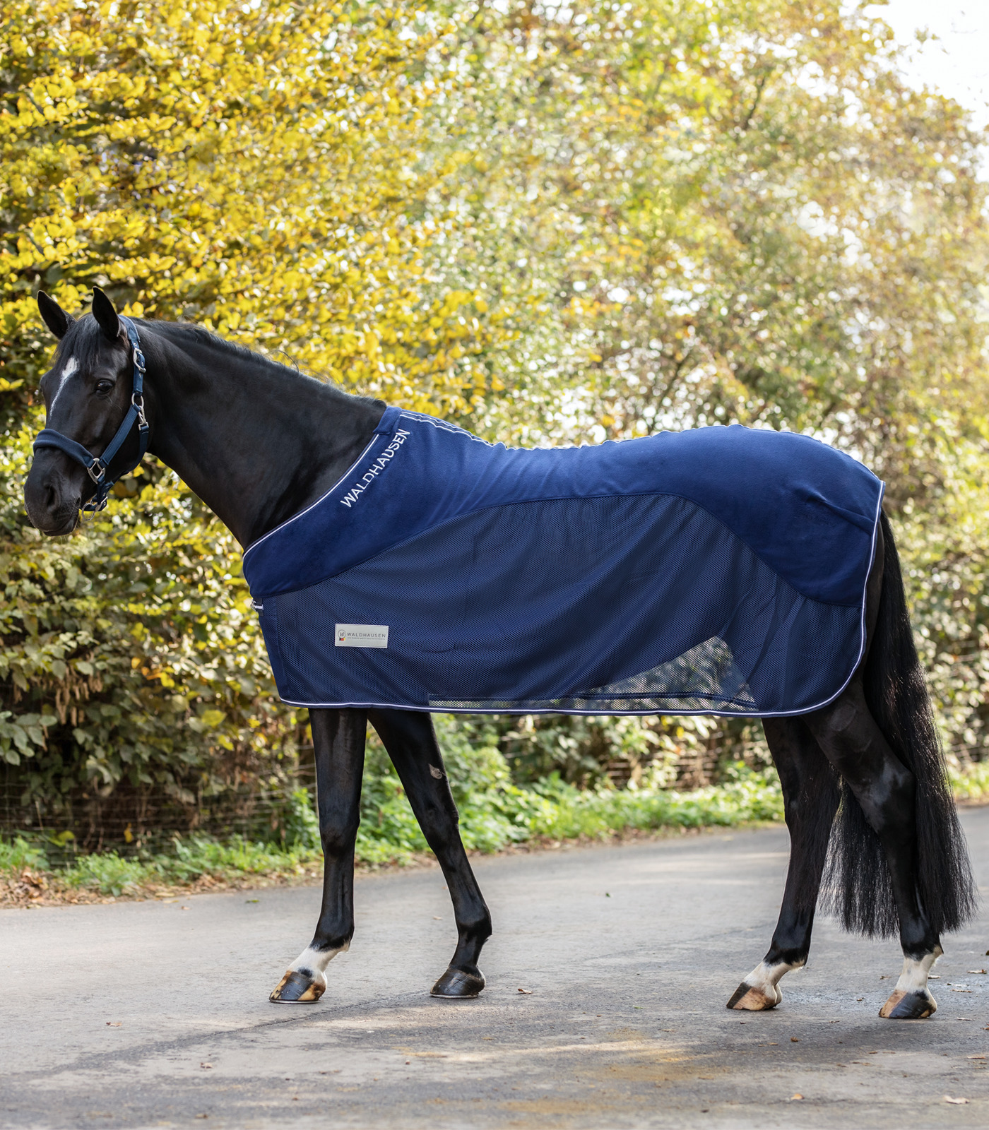 WALDHAUSEN Deka odpocovací Comfort Waldhausen, night blue Délka zad: 135 cm