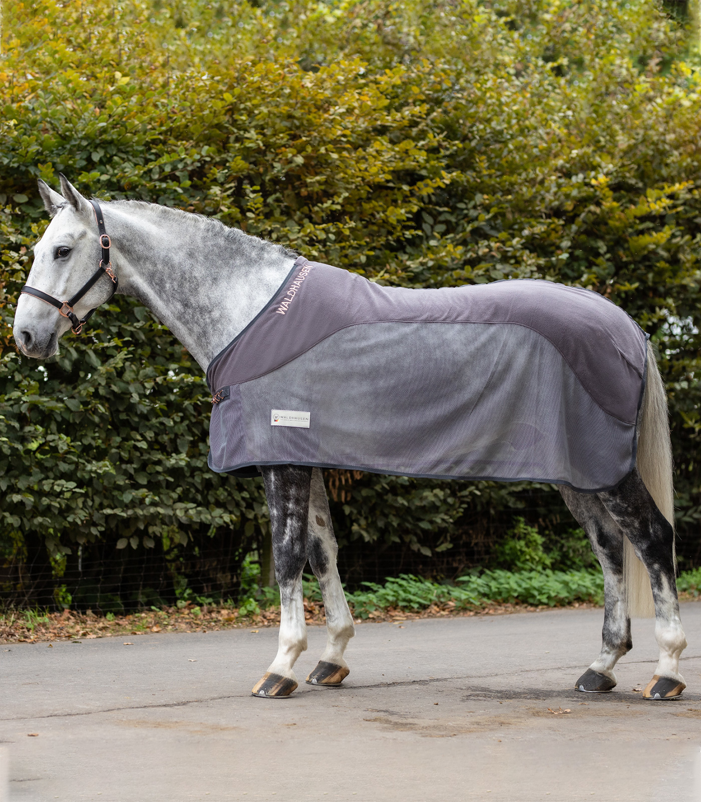 WALDHAUSEN Deka odpocovací Comfort Waldhausen, grey Délka zad: 135 cm