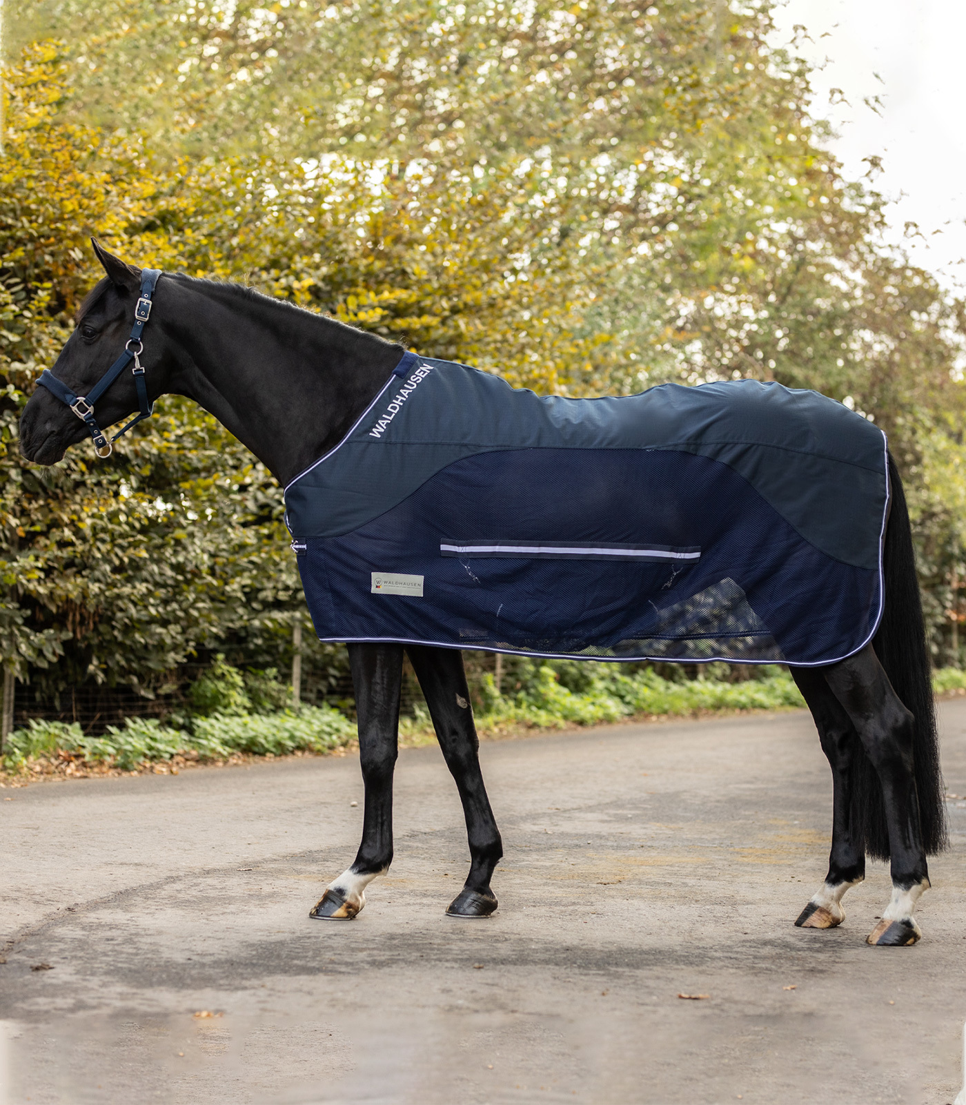 WALDHAUSEN Deka proti hmyzu Comfort Waldhausen, s nepromokavými zády, night blue Délka zad: 115 cm