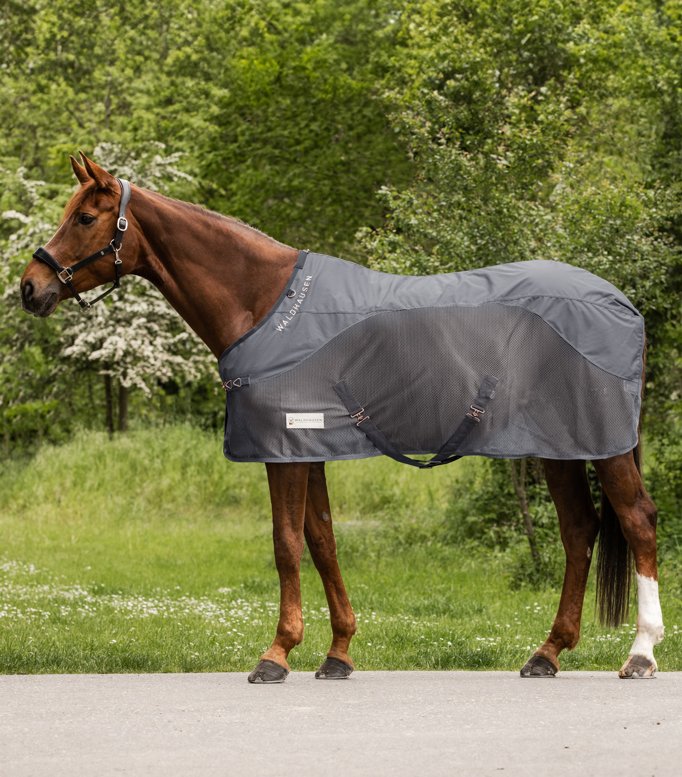 WALDHAUSEN Deka proti hmyzu Comfort Waldhausen, s nepromokavými zády, grey Délka zad: 115 cm