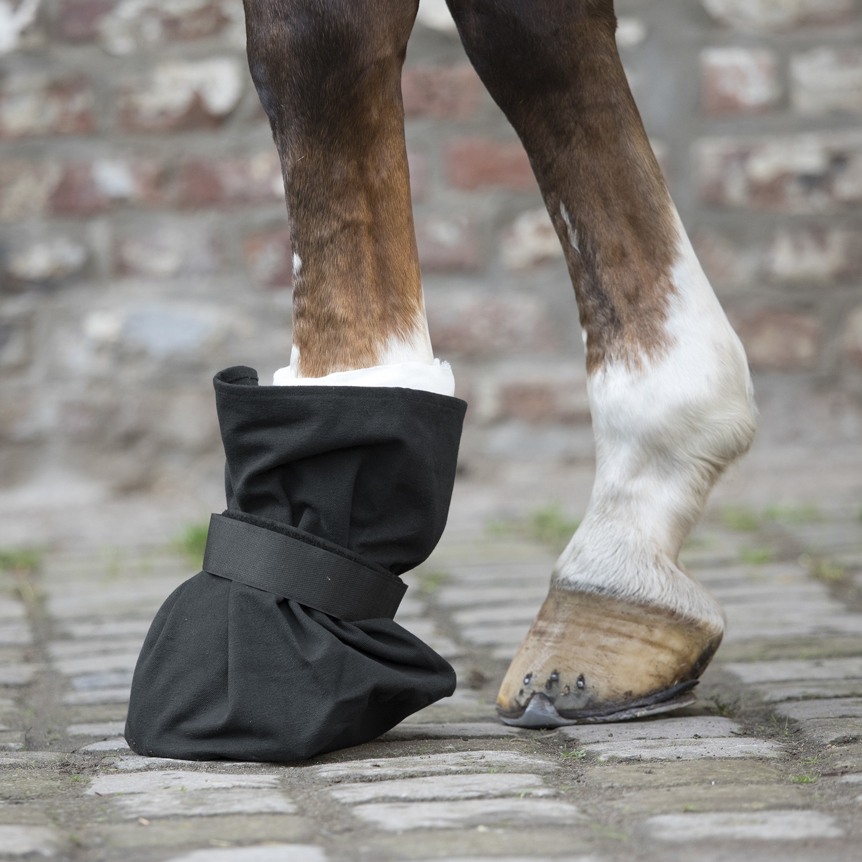 WALDHAUSEN Návlek na kopyto Waldhausen, černý Balení: PONY