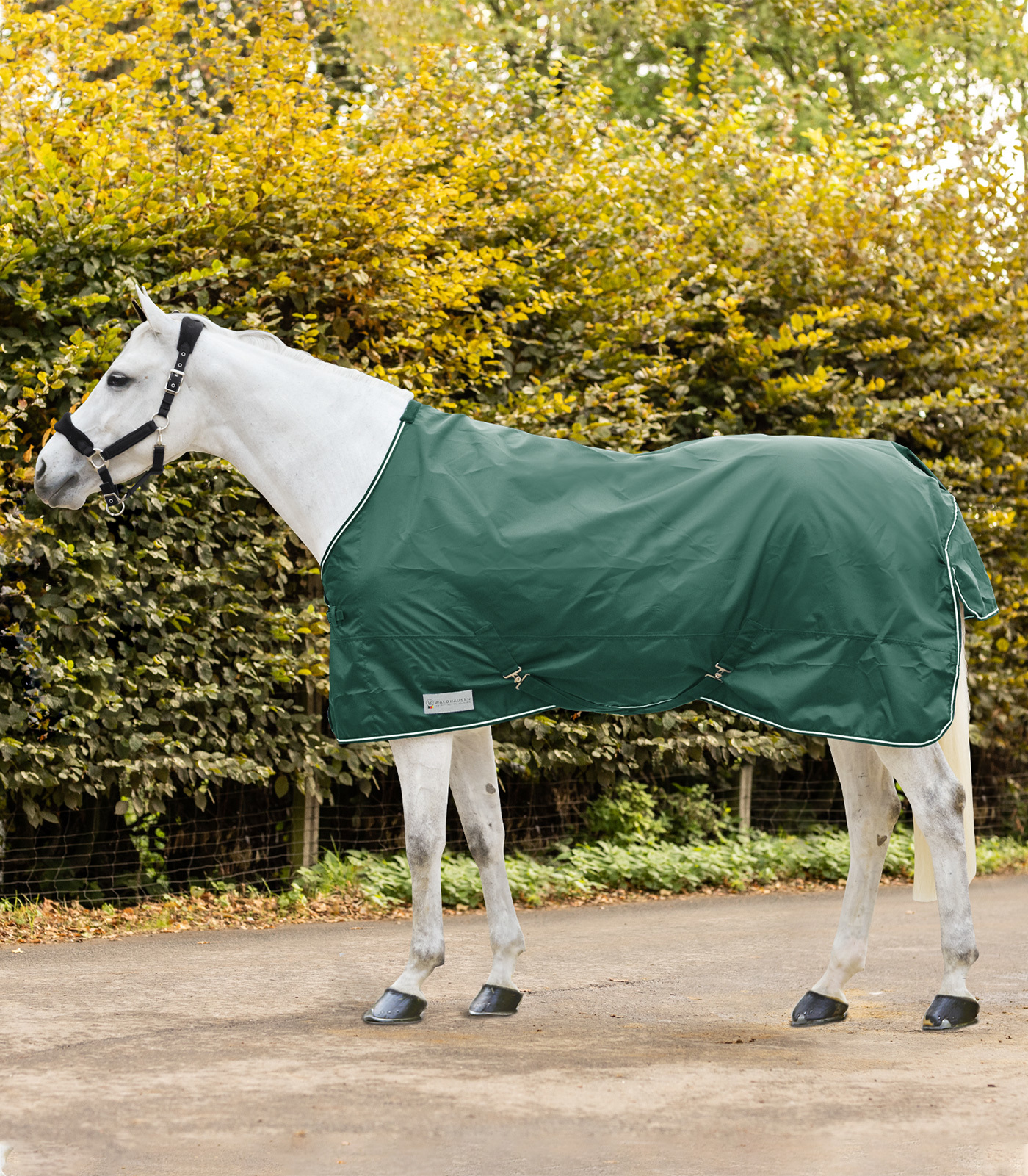 WALDHAUSEN Deka nepromokavá Economic Waldhausen, 0 g, fir green Délka zad: 115 cm