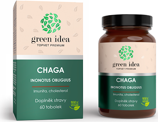 Green idea Chaga GREEN IDEA, 60 tbl