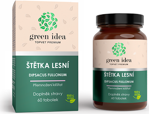 Green idea Štětka lesní GREEN IDEA, 60 tbl