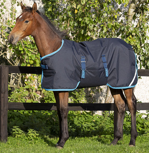 AMIGO Deka výběhová Amigo, pro hříbata, 200 g, navy/electric blue Délka zad: 85 cm