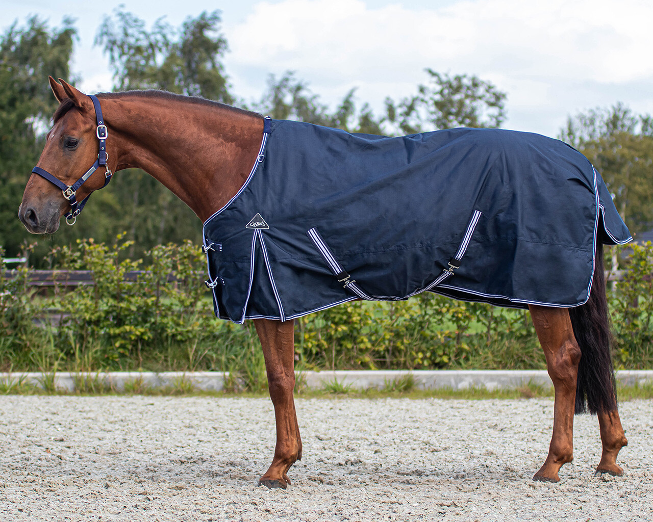 QHP Deka výběhová Luxury QHP, 200 g, navy Délka zad: 125 cm