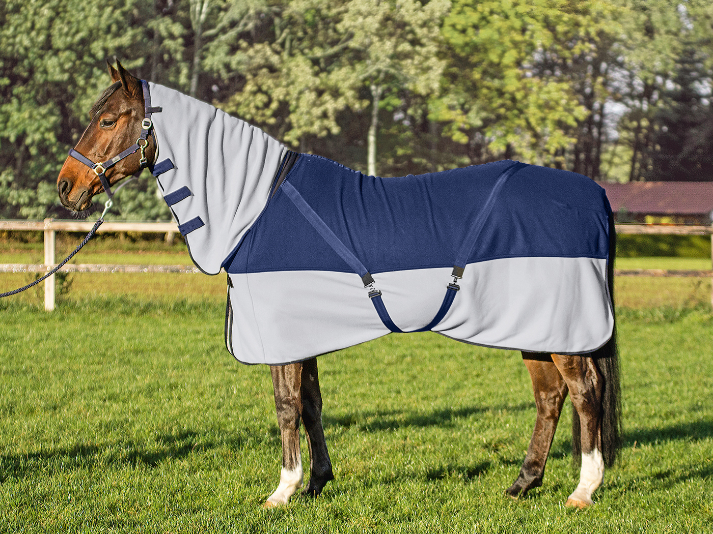 BUSSE Deka odpocovací Comfort Plus BUSSE, s krkem, navy/grey Délka zad: 135 cm