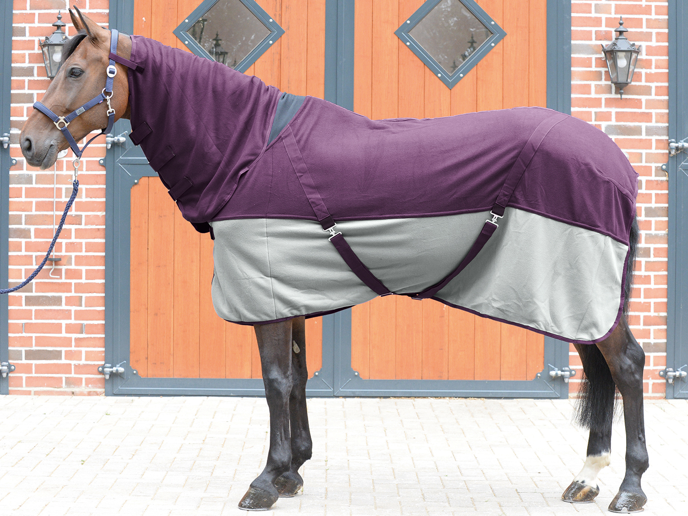 BUSSE Deka odpocovací Comfort Plus BUSSE, s krkem, plum/grey Délka zad: 128 cm