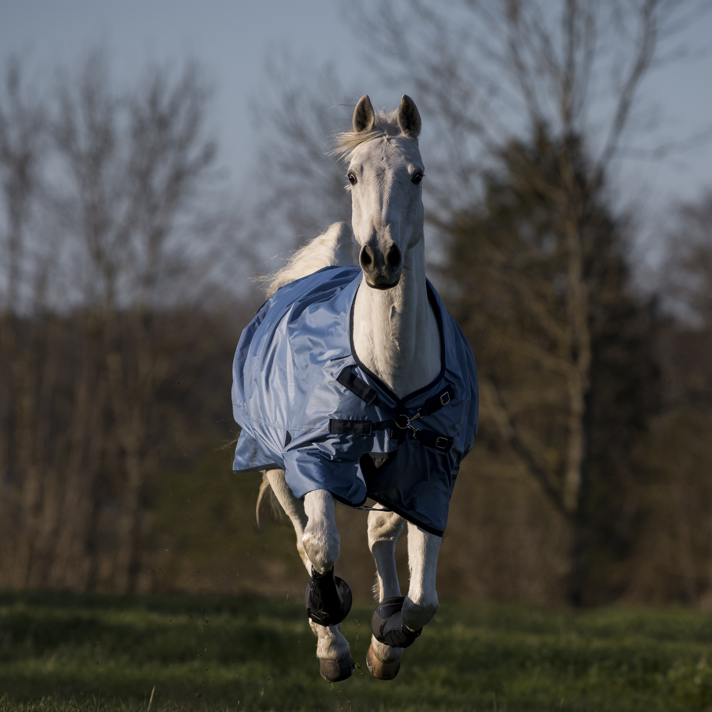 BUSSE Deka výběhová Windchill BUSSE, 50 g, iceblue/navy Délka zad: 115 cm