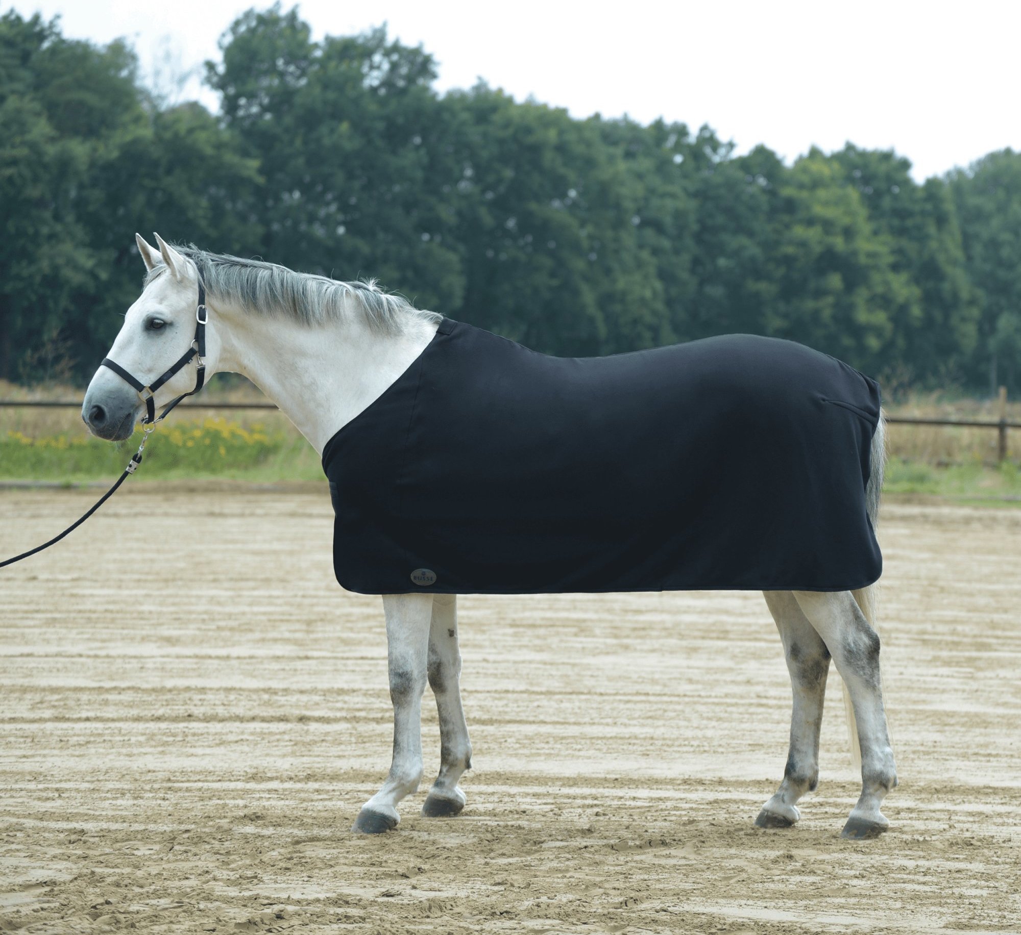 BUSSE Deka odpocovací Basic II BUSSE, černá Délka zad: 85 cm