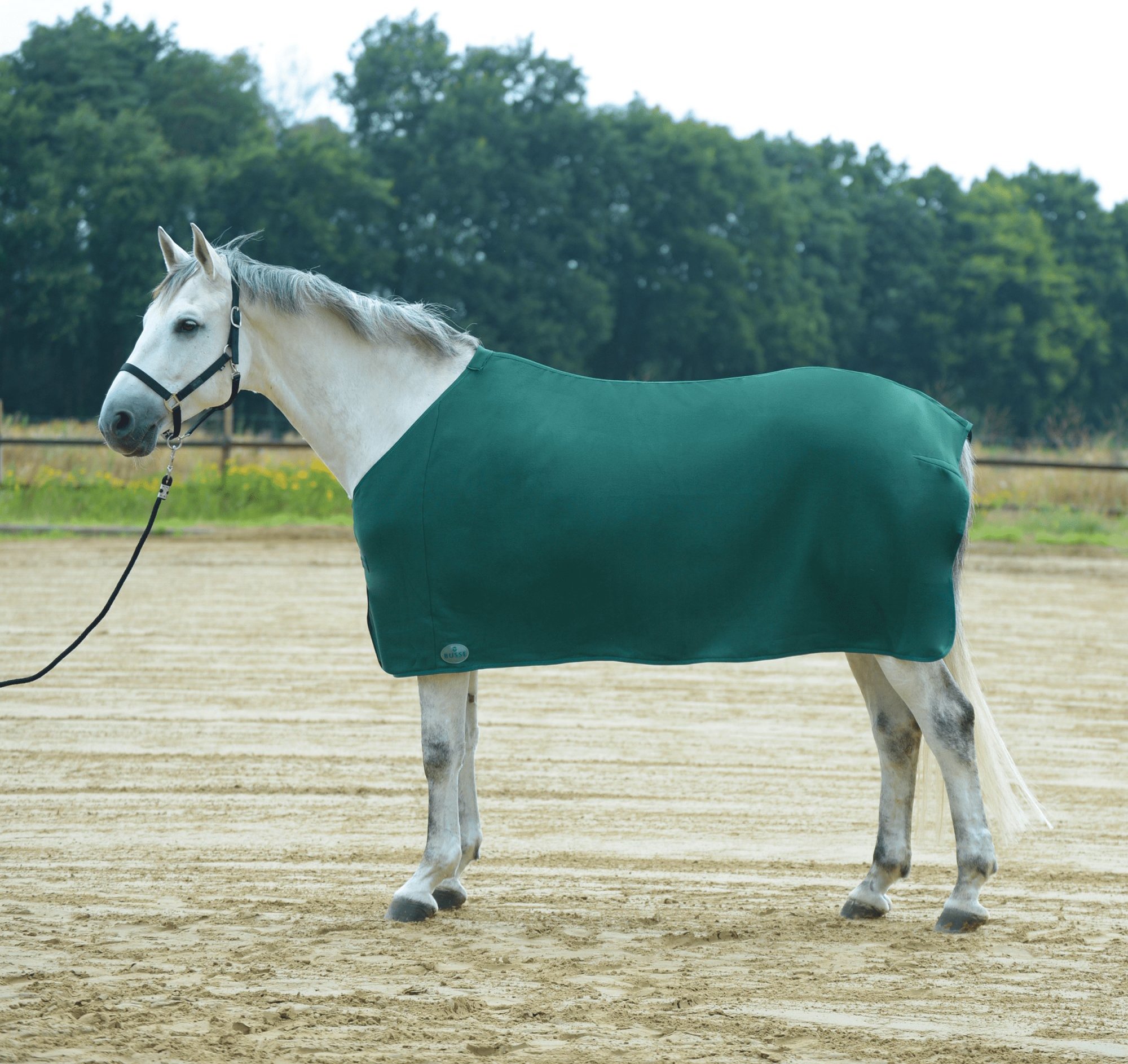 BUSSE Deka odpocovací Basic II BUSSE, dark green Délka zad: 135 cm
