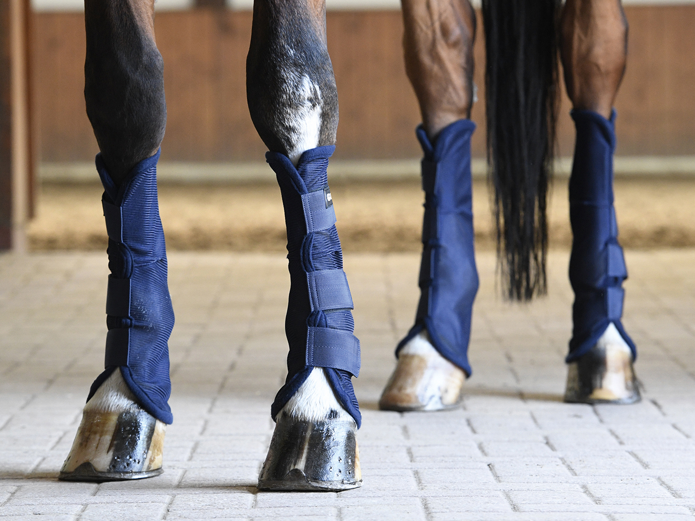 BUSSE Chrániče proti hmyzu Comfort II BUSSE, 4 ks, navy Velikost: COB