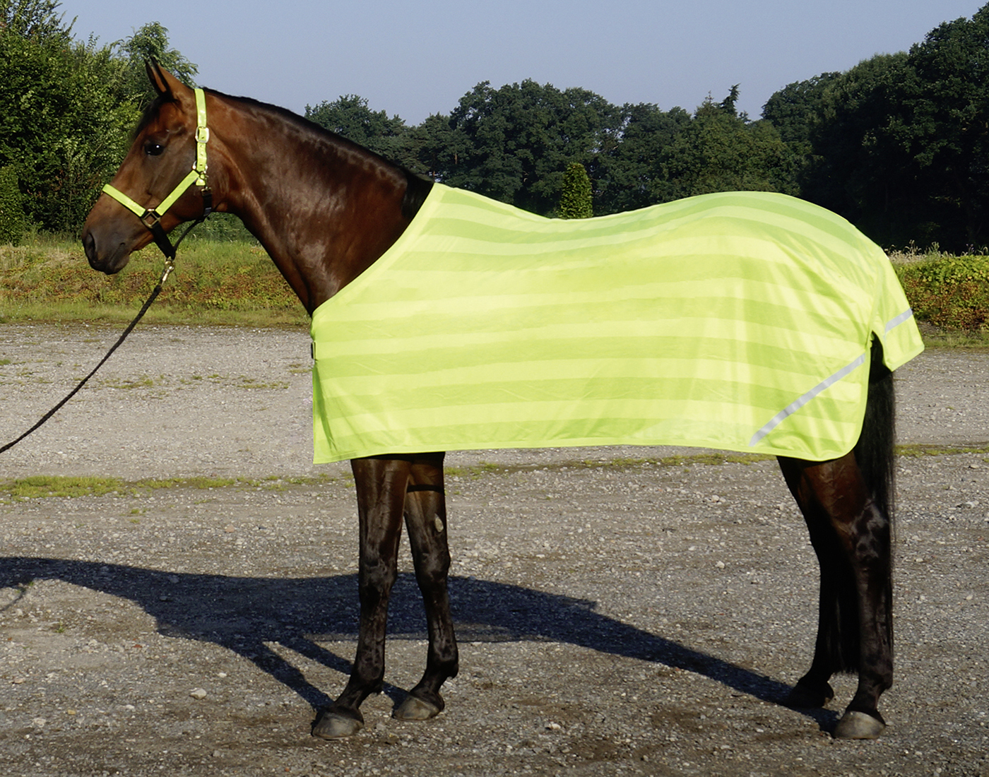 BUSSE Deka reflexní Reflection BUSSE, 0 g, yellow Délka zad: 125 cm