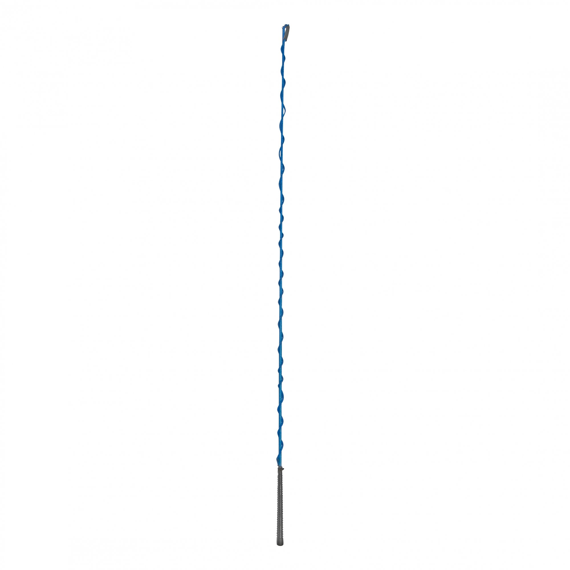 BUSSE Bič lonžovací Lang BUSSE, 1,8/2 m, royal blue Délka: 180 cm