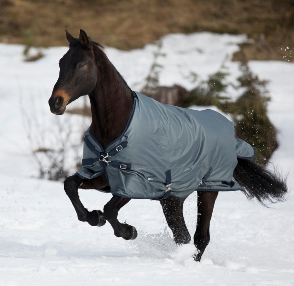 BUSSE Deka výběhová Windchill BUSSE, 100 g, grey/navy Délka zad: 138 cm