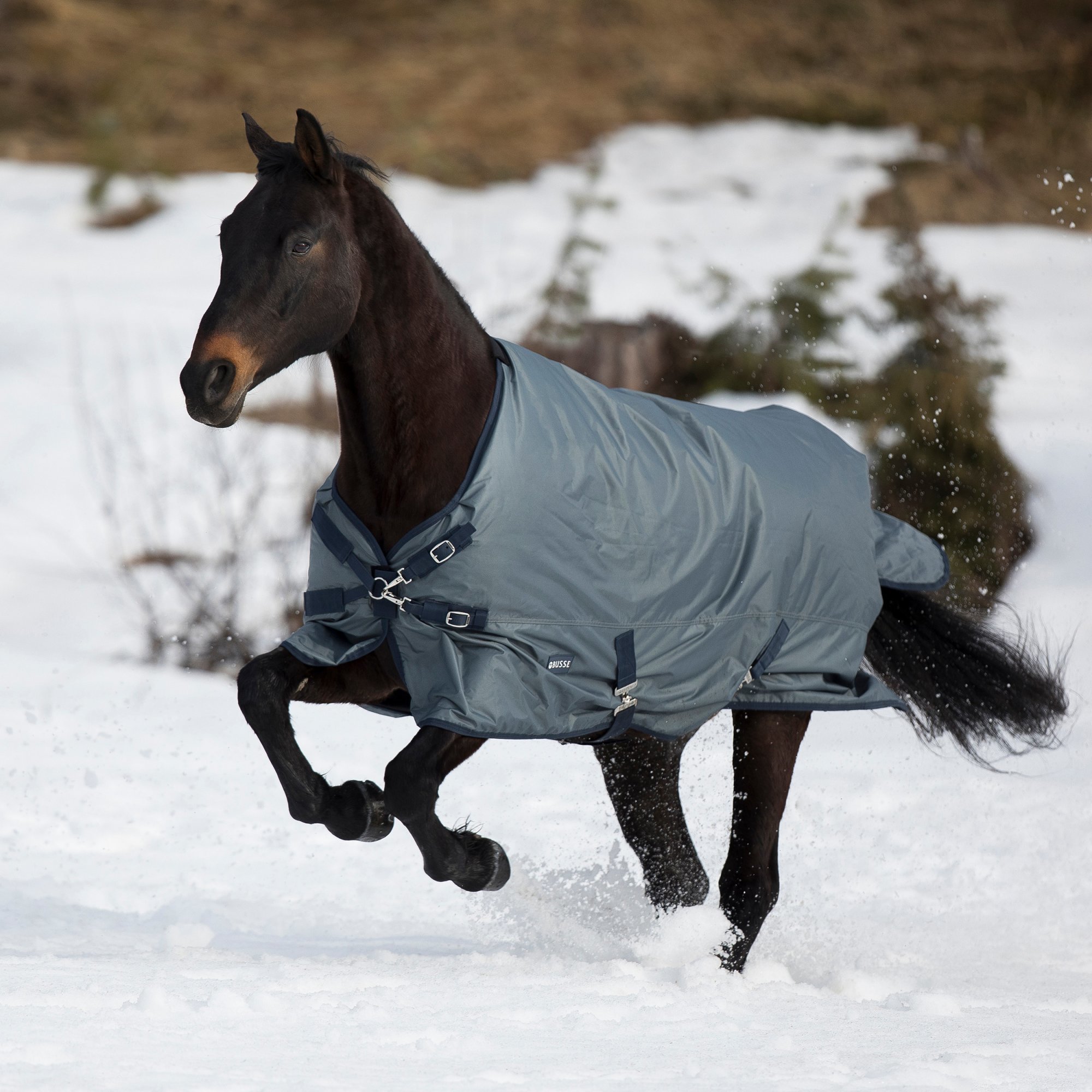 BUSSE Deka výběhová Windchill BUSSE, 200 g, grey/navy Délka zad: 158 cm