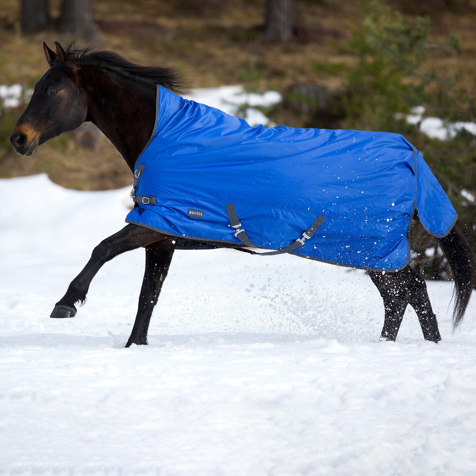 BUSSE Deka výběhová Rain-Dear BUSSE, s vyšším krkem, 200 g, royal blue/grey Délka zad: 115 cm
