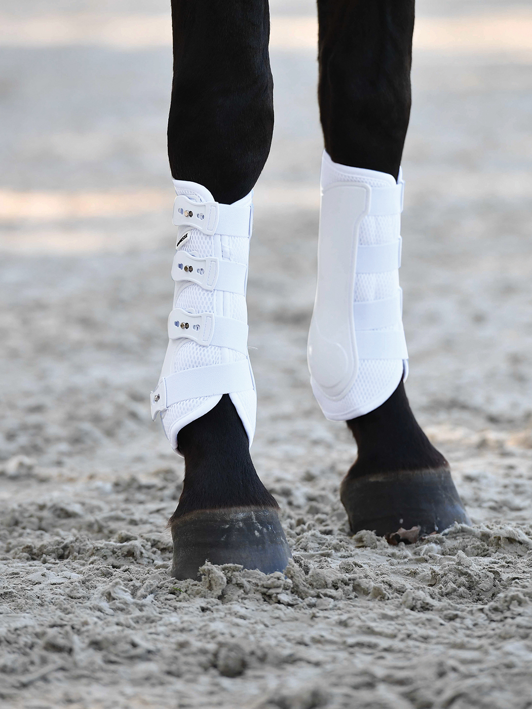 BUSSE Kamaše drezurní Dressage-Pro Mesh BUSSE, pár, bílé Velikost: L