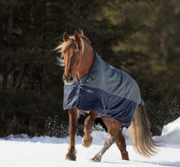 BUSSE Deka výběhová Active Pro BUSSE, 150 g, anthracite/navy Délka zad: 158 cm