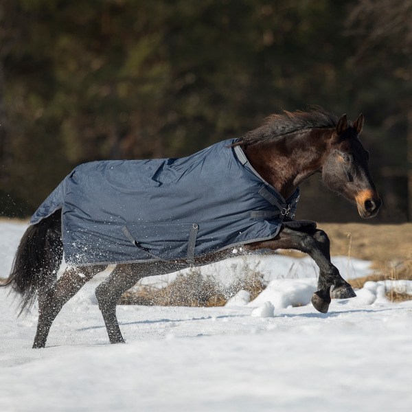 BUSSE Deka výběhová Flexible Pro BUSSE, bez krku, 250 g, navy/grey Délka zad: 138 cm