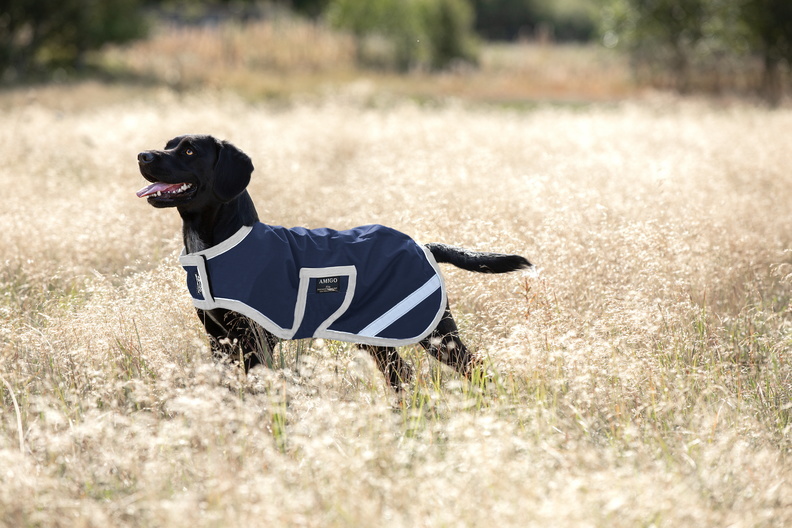 AMIGO Deka pro psy Amigo, 100 g, navy/silver Velikost: XXL