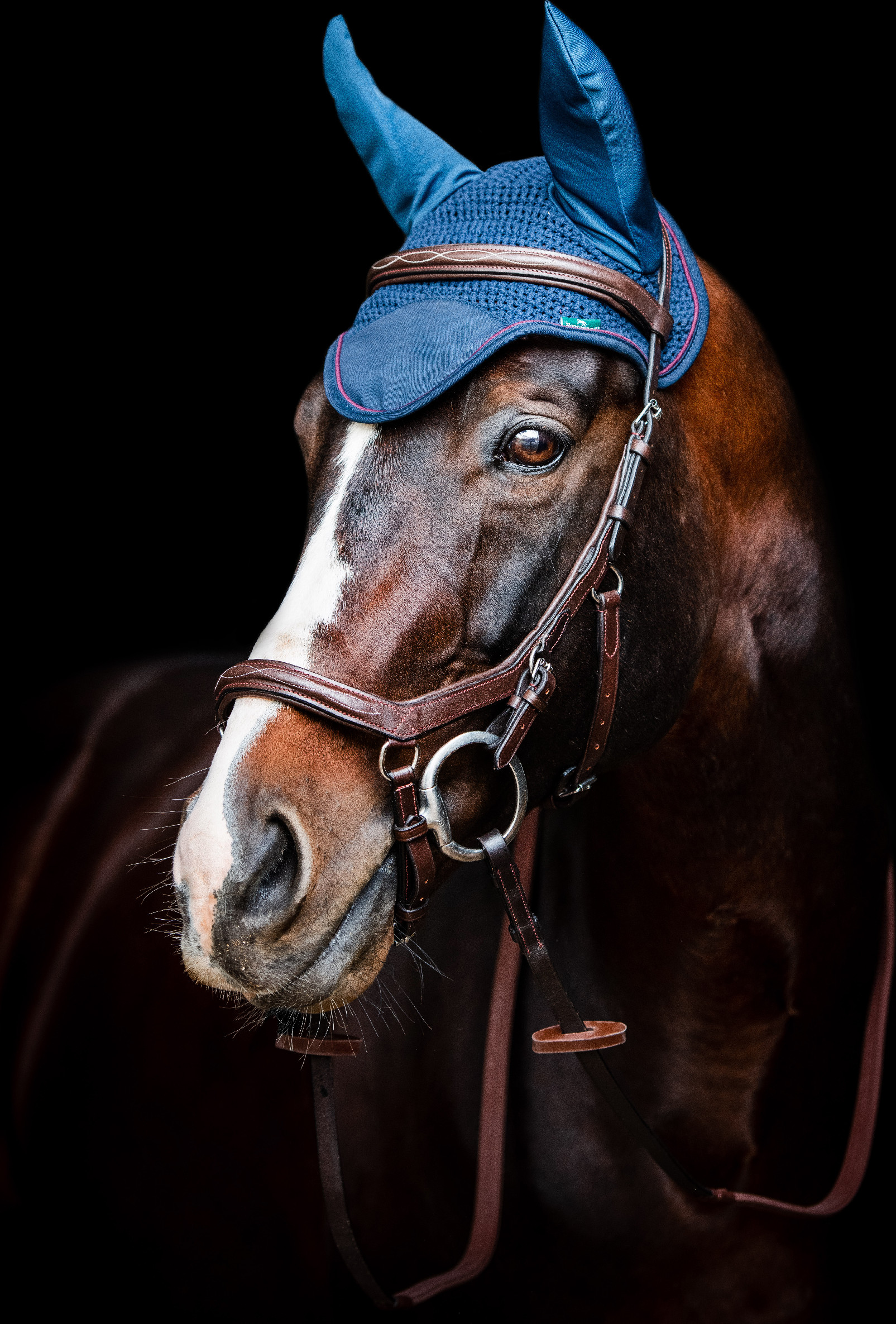 RAMBO Čabraka Rambo, navy/burgundy Velikost: PONY/COB