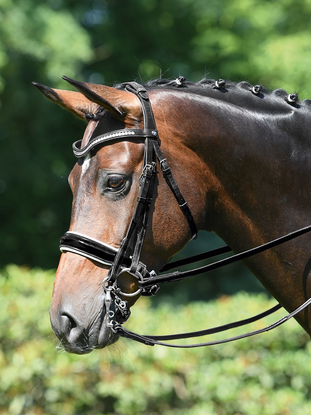 BUSSE Uzda drezurní Genua-Kandare BUSSE, black/crystal Velikost: COB
