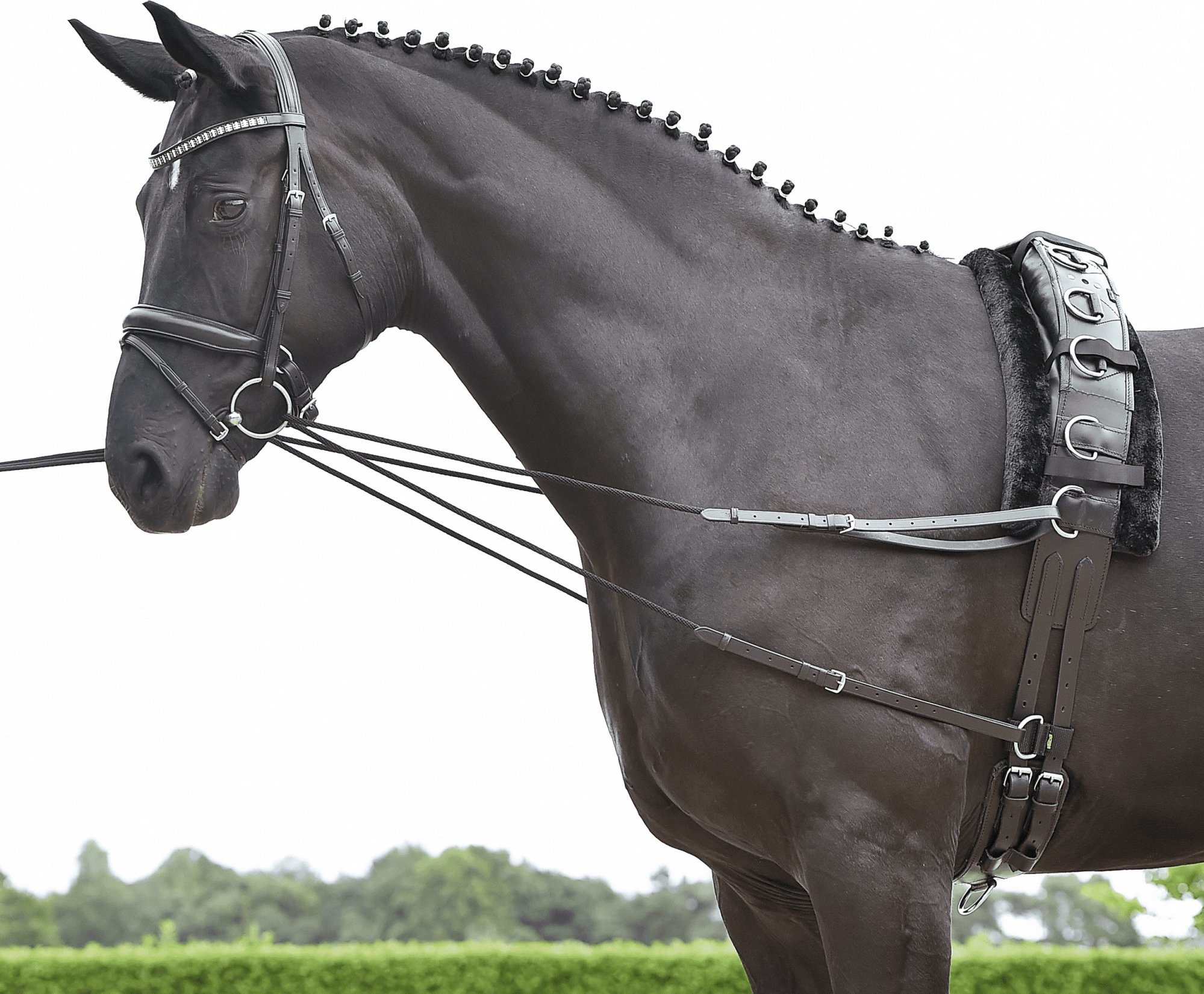 BUSSE Otěže vyvazovací Basic-Kordel BUSSE, 190-220 cm, černé Velikost: COB/FULL