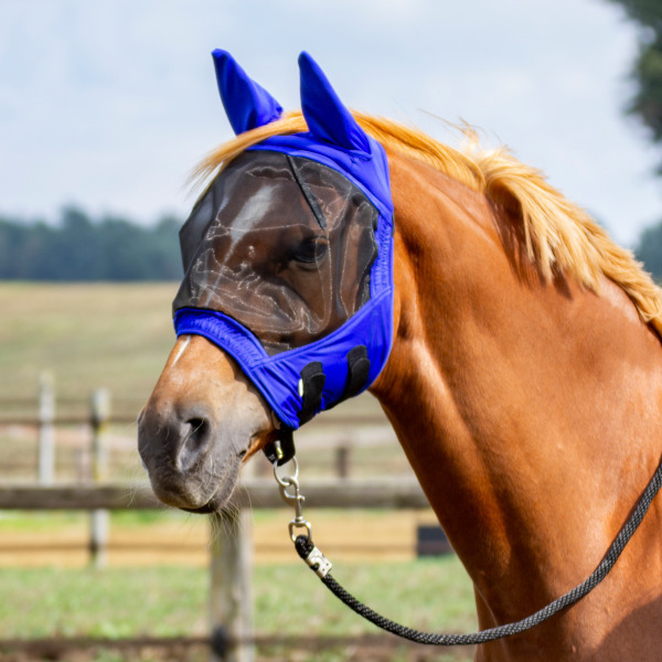 BUSSE Maska proti hmyzu Fly Buckler Gap BUSSE, s ochranou uší, royal blue Velikost: EXTRA FULL