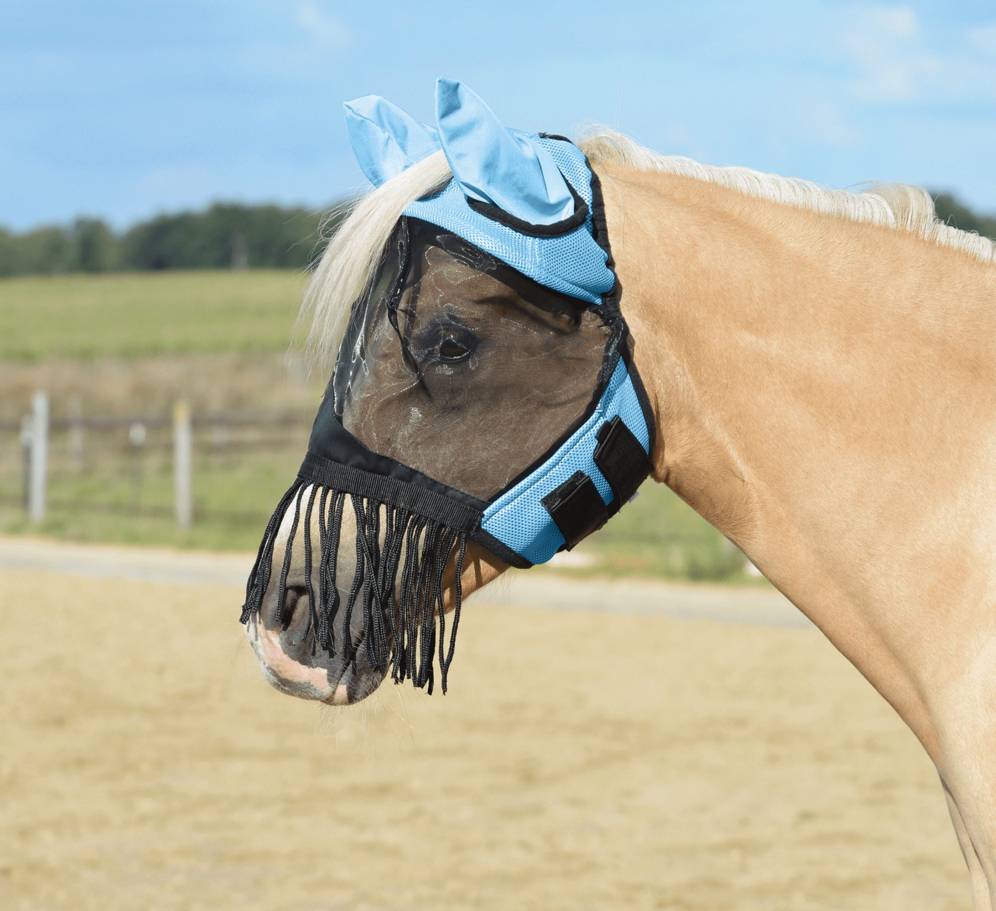 BUSSE Maska proti hmyzu Fly Cover Fransen Gap II BUSSE, s ochranou uší a třásněmi, light blue Velikost: SHETTY