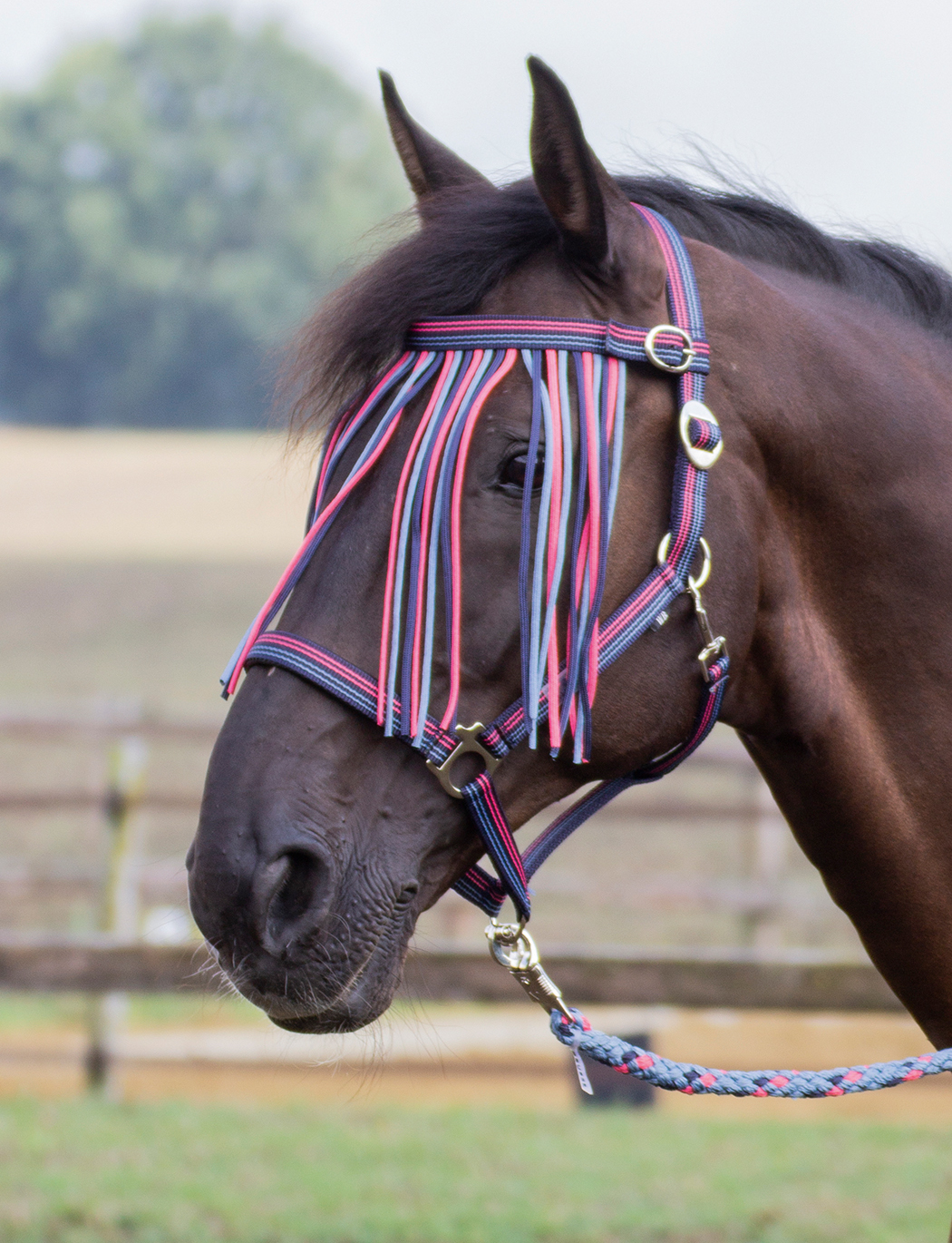 BUSSE Třásně proti hmyzu Tampere BUSSE, navy/titanium/coral Velikost: PONY